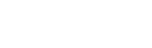 Sanitiem