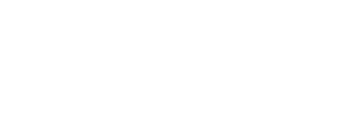 Wij zijn lid van Techniek Nederland